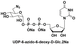 UDP-6-N3-Glucose 