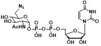 UDP-6-N3-GlcNAc