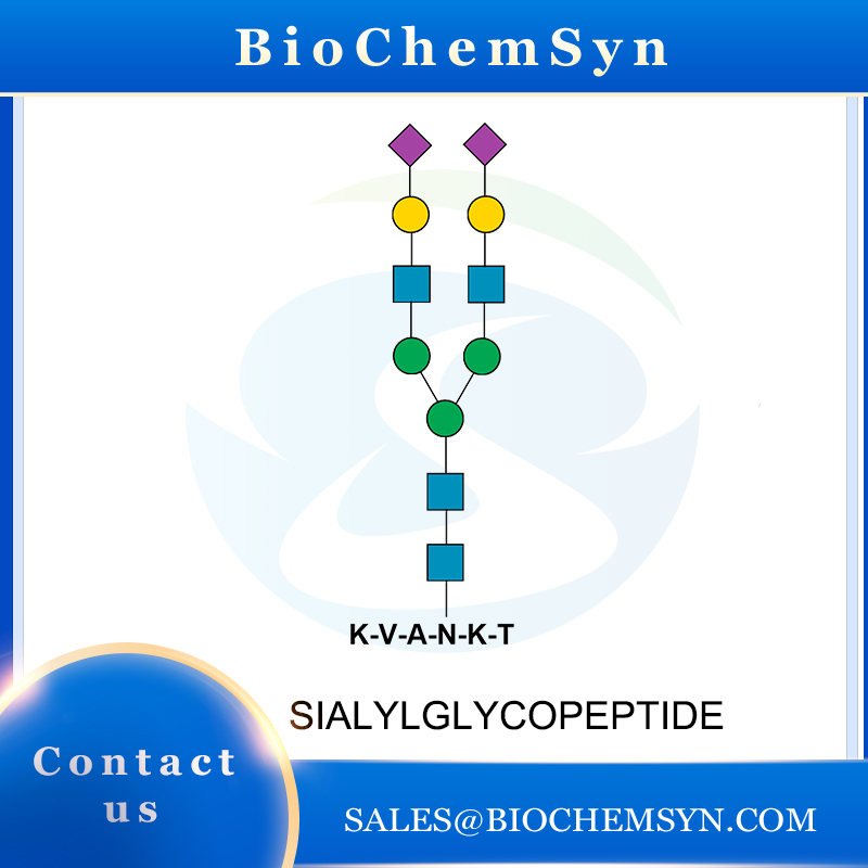 Sialylglycopeptide