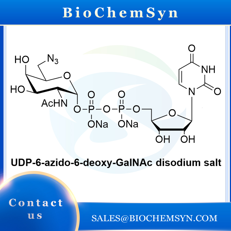 UDP 6-azido-6- deoxy-GalNAc disodium salt 