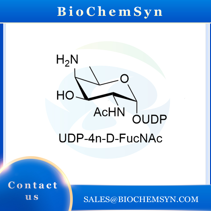 UDP-4n-D-FucNAc