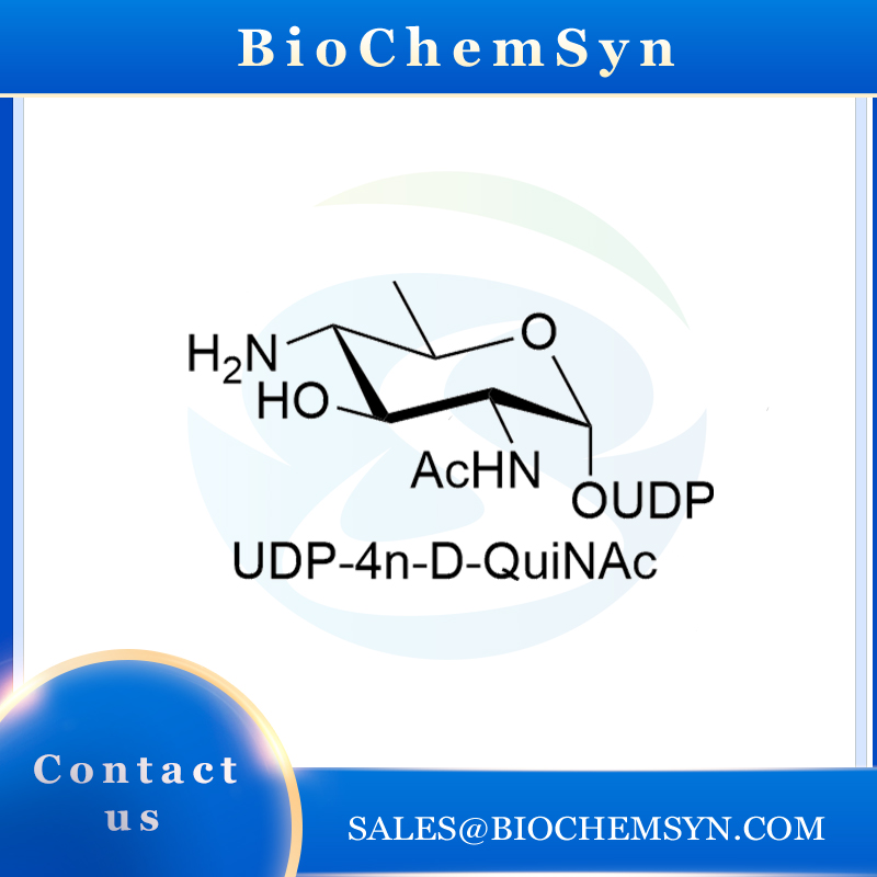 UDP-4n-D-QuiNAc