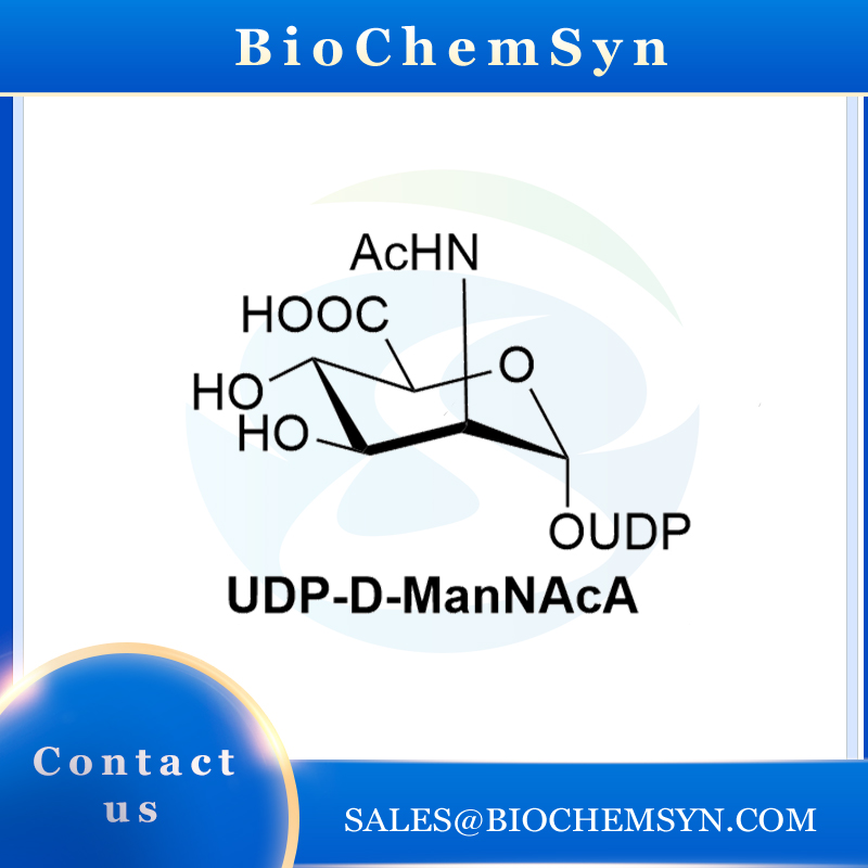 UDP-D-ManNAcA