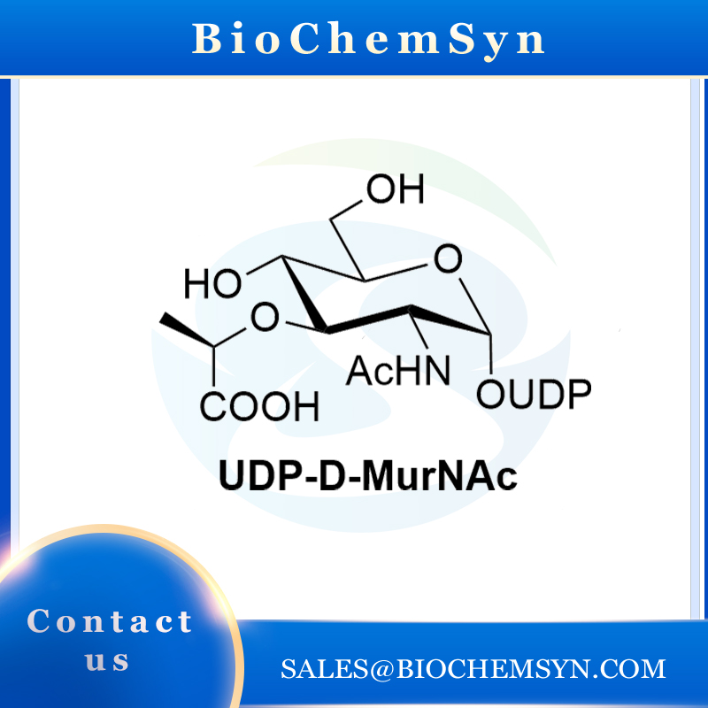 UDP-D-MurNAc