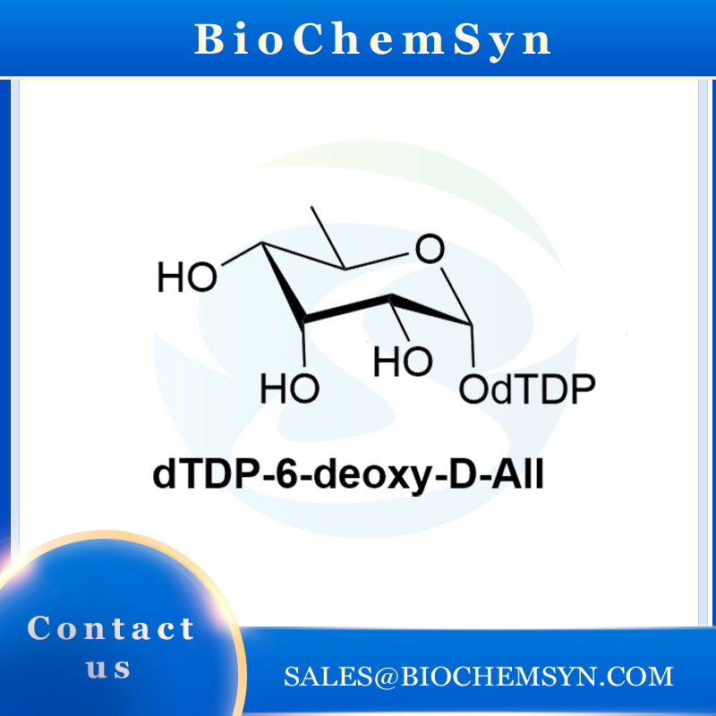 dTDP-6-deoxy-D-All