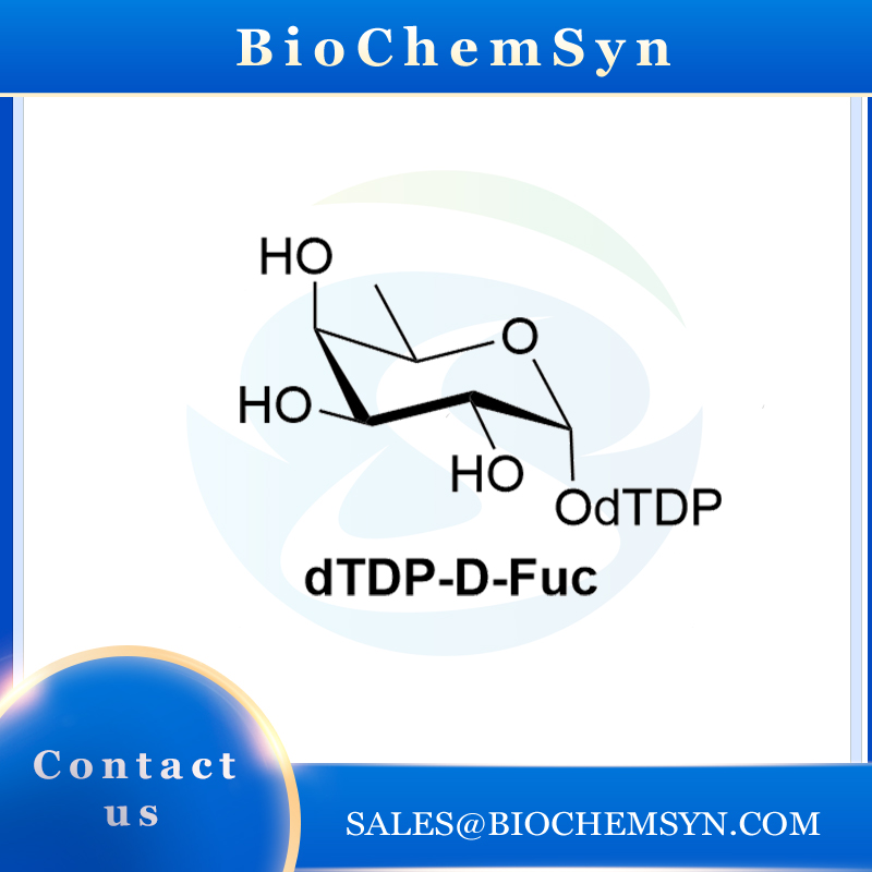 dTDP-D-Fuc