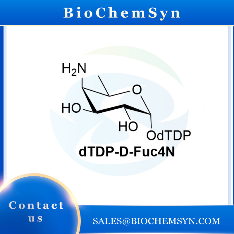 dTDP-D-Fuc4N