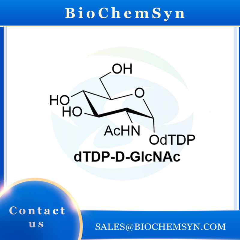 dTDP-D-GlcNAc