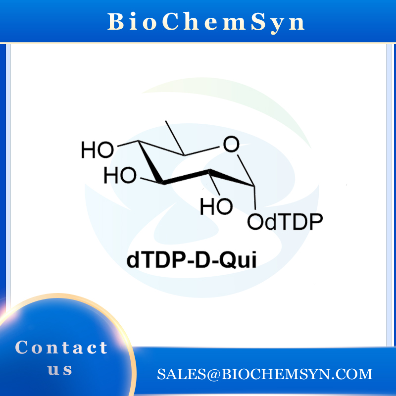 dTDP-D-Qui