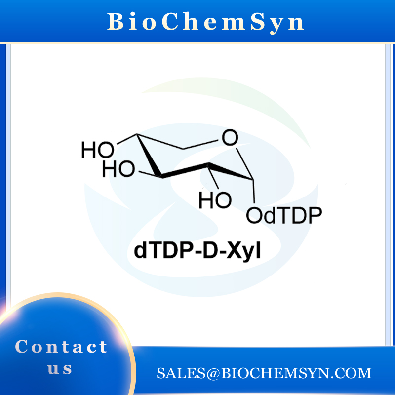 dTDP-D-Xyl