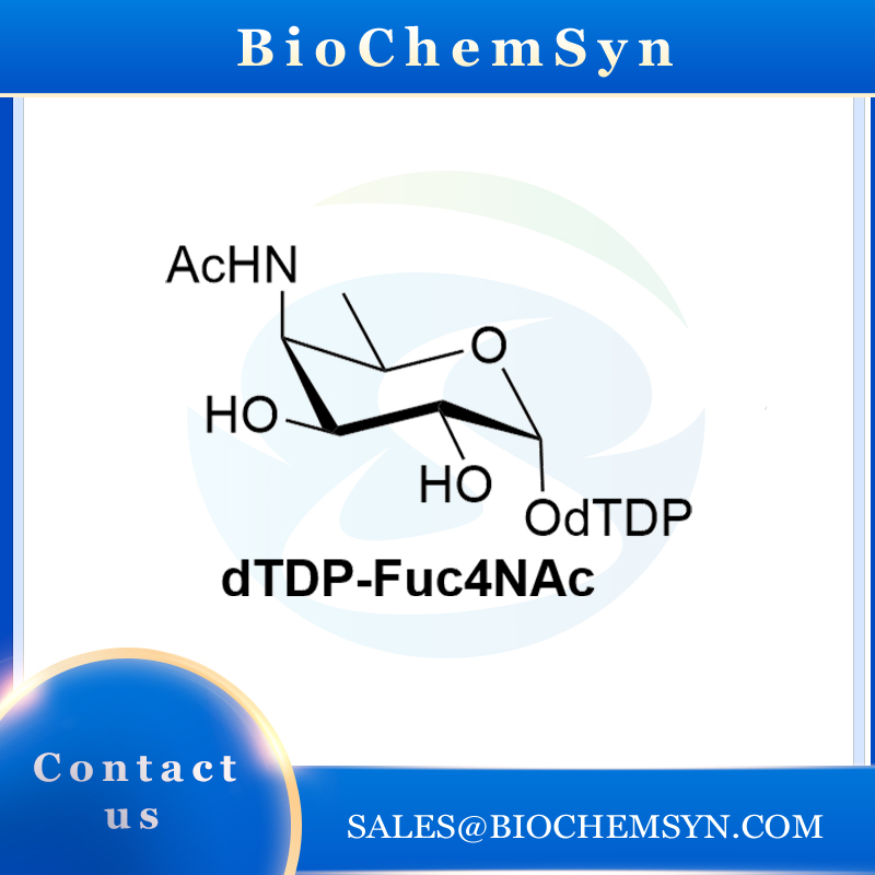 dTDP-Fuc4NAc