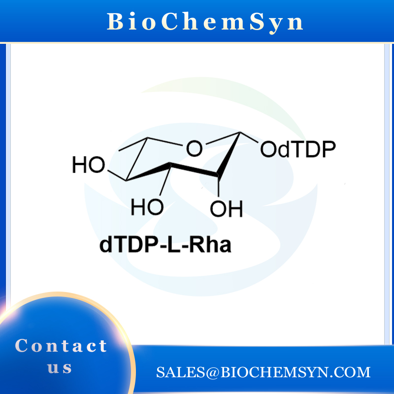 dTDP-L-Rha
