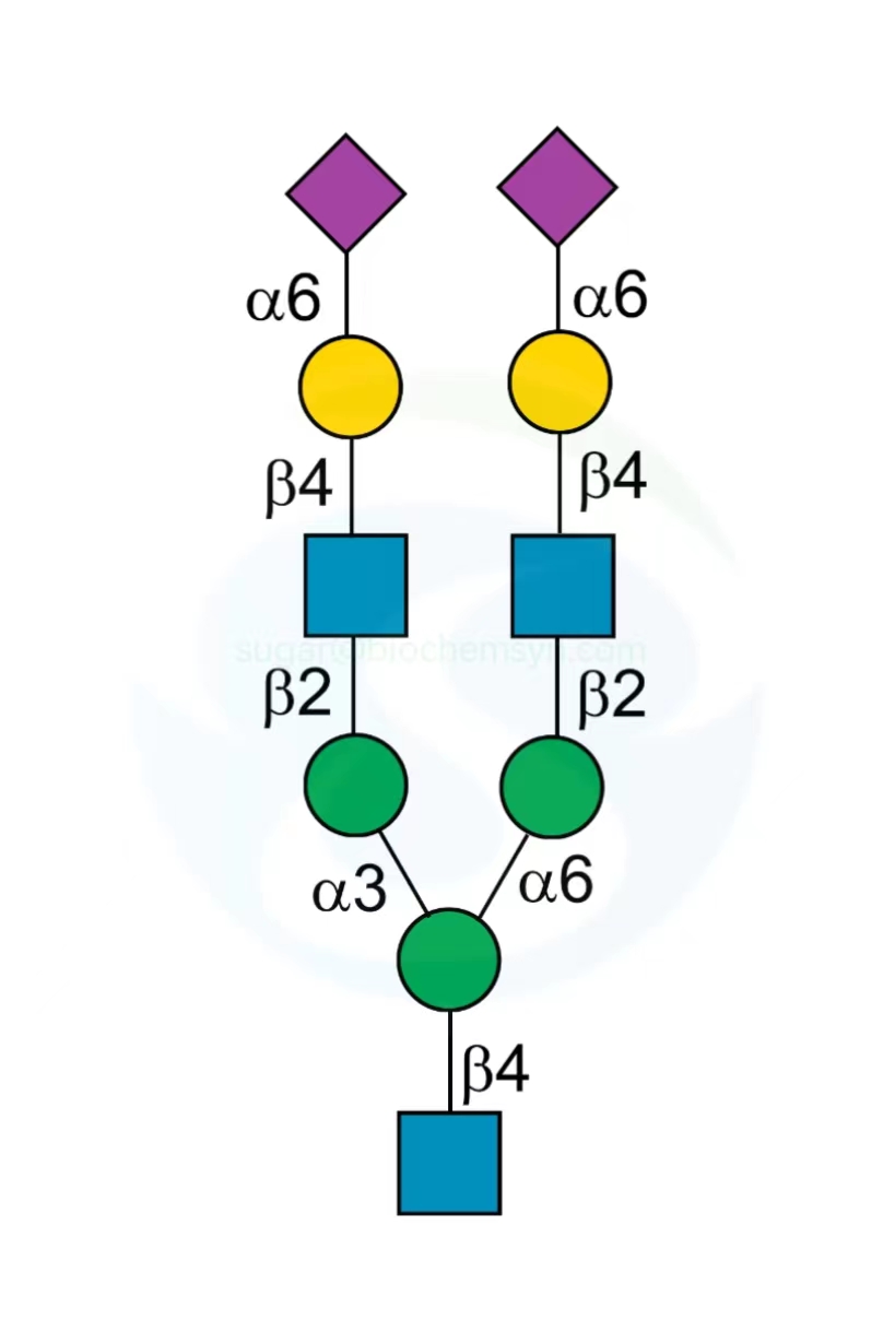 Disialyloctasaccharide